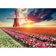 Puzzle Educa Fields of Tulips 18465 1500 Pièces