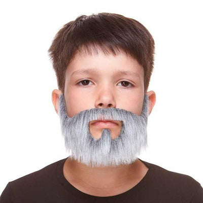 Fausse barbe My Other Me Gris